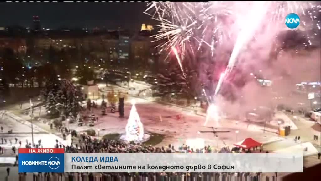 Коледните елхи в София и Пловдив грейнаха