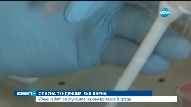 Увеличават се случаите на салмонелоза във Варна