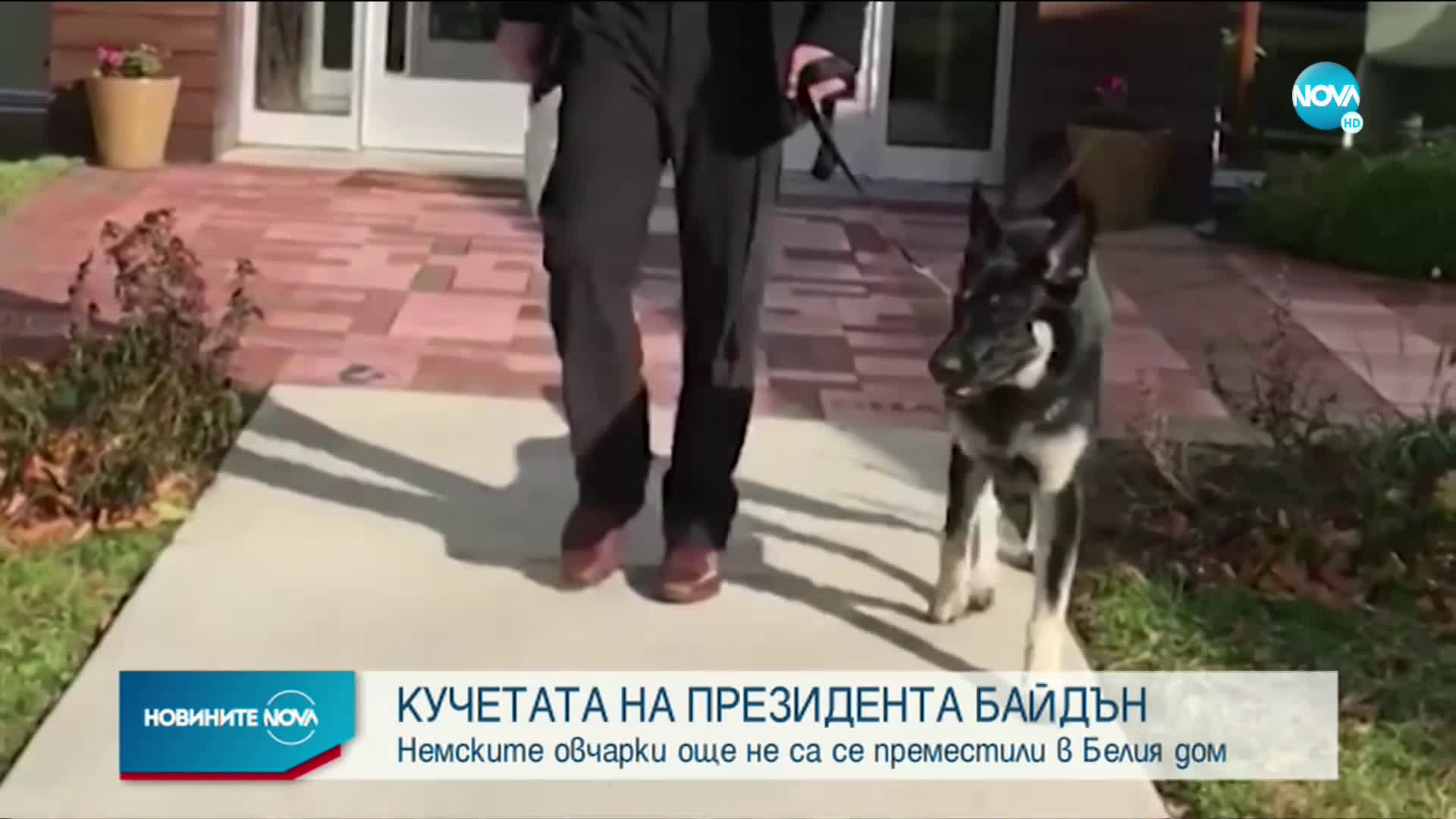 Кучетата на Байдън ще пристигнат в новия си дом