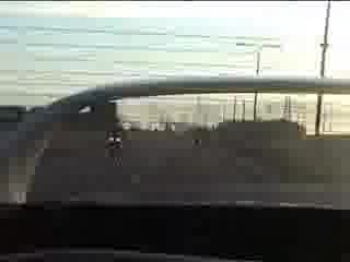 Toyota Supra Vs Yamaha R1 Vs Suzuki Gsxr 7