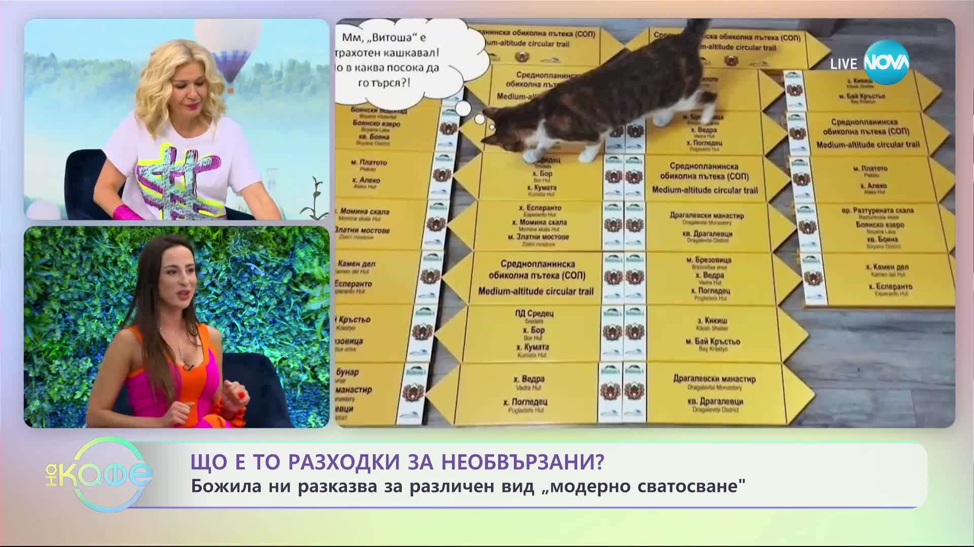 Какво е разходка за необвързани? - „На кафе” (12.07.2023)