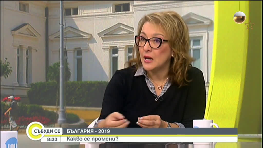 Политологът Антоанета Христова: 2019 беше година на избори