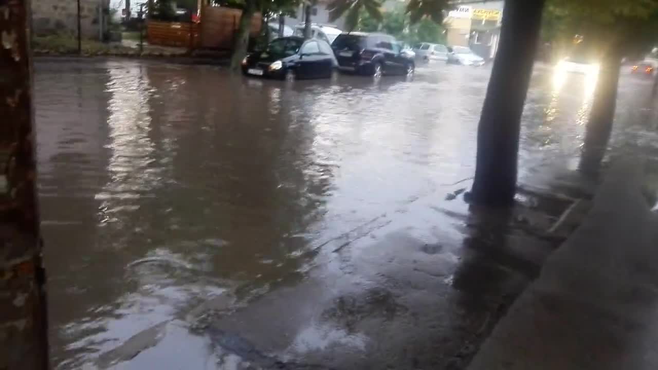 "Моята новина": Порой