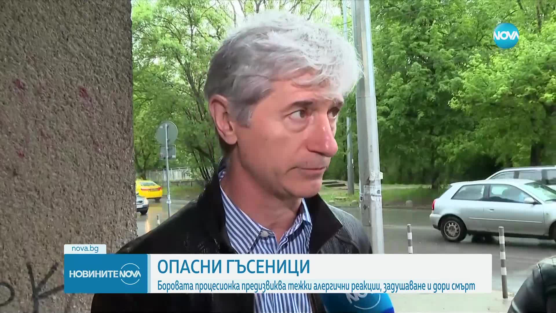 Внимание! Нашествие на опасни гъсеници у нас