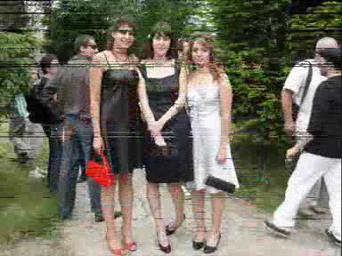Випуск 2009 Пгии проф.николай Райнов