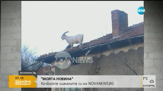 "Моята новина": Мизерните условия на работа на граничарите