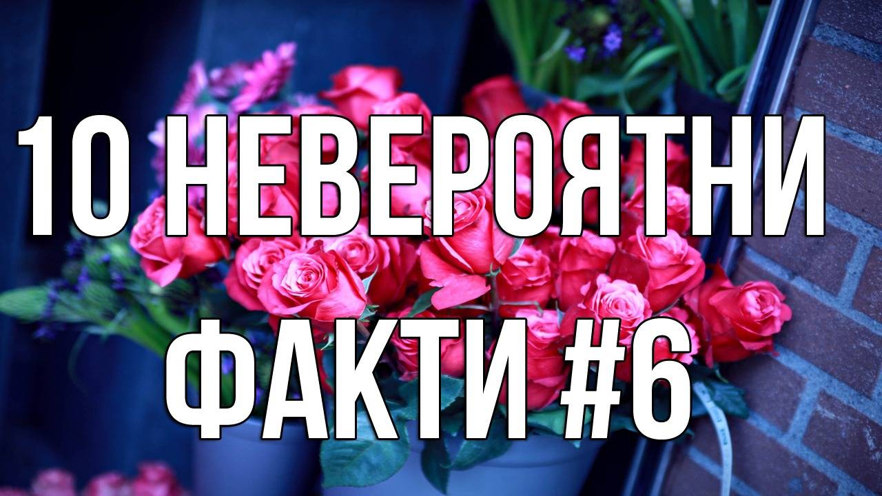 10 Невероятни факти #6