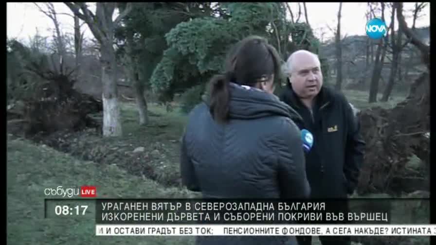 Ураганен вятър отнесе покриви във Вършеч
