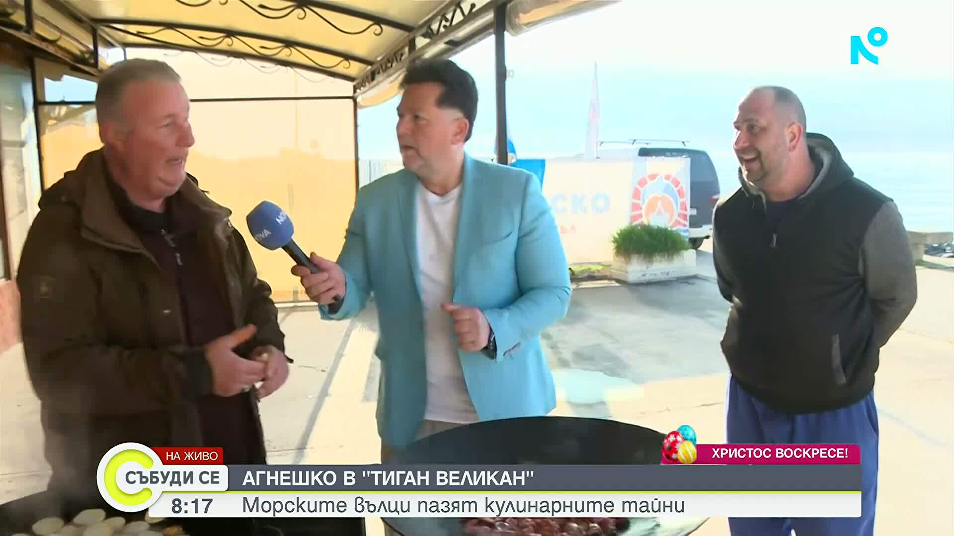 Агнешко в "тиган великан"