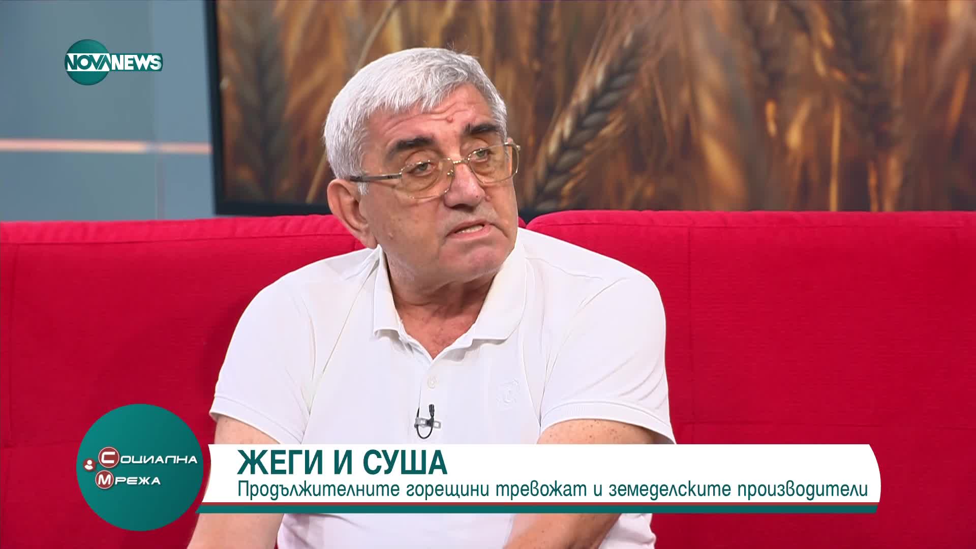 Продължителните горещини тревожат земеделските производители
