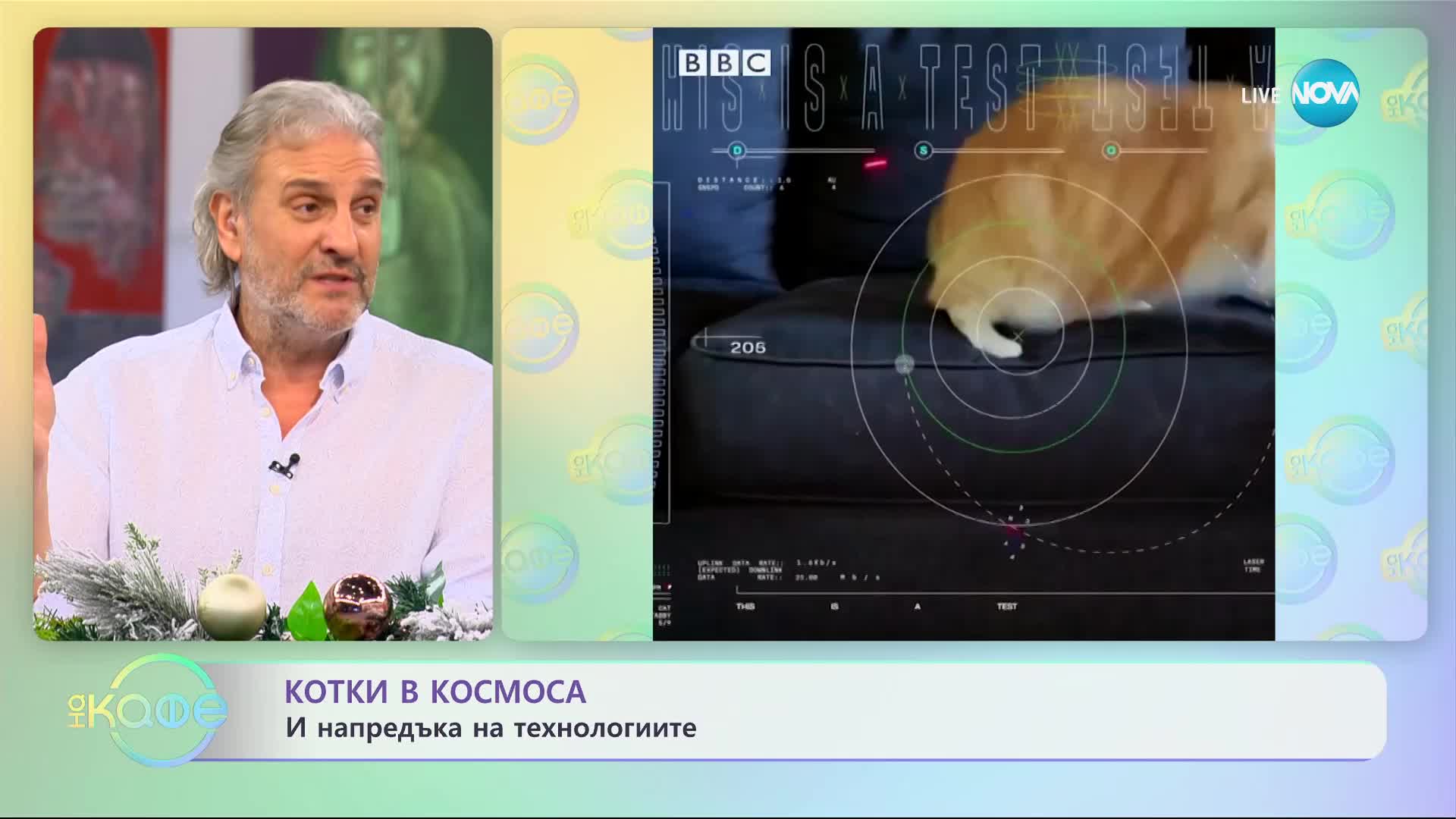 Котки туристи - Странностите на някои стопани - „На кафе” (21.12.2023)