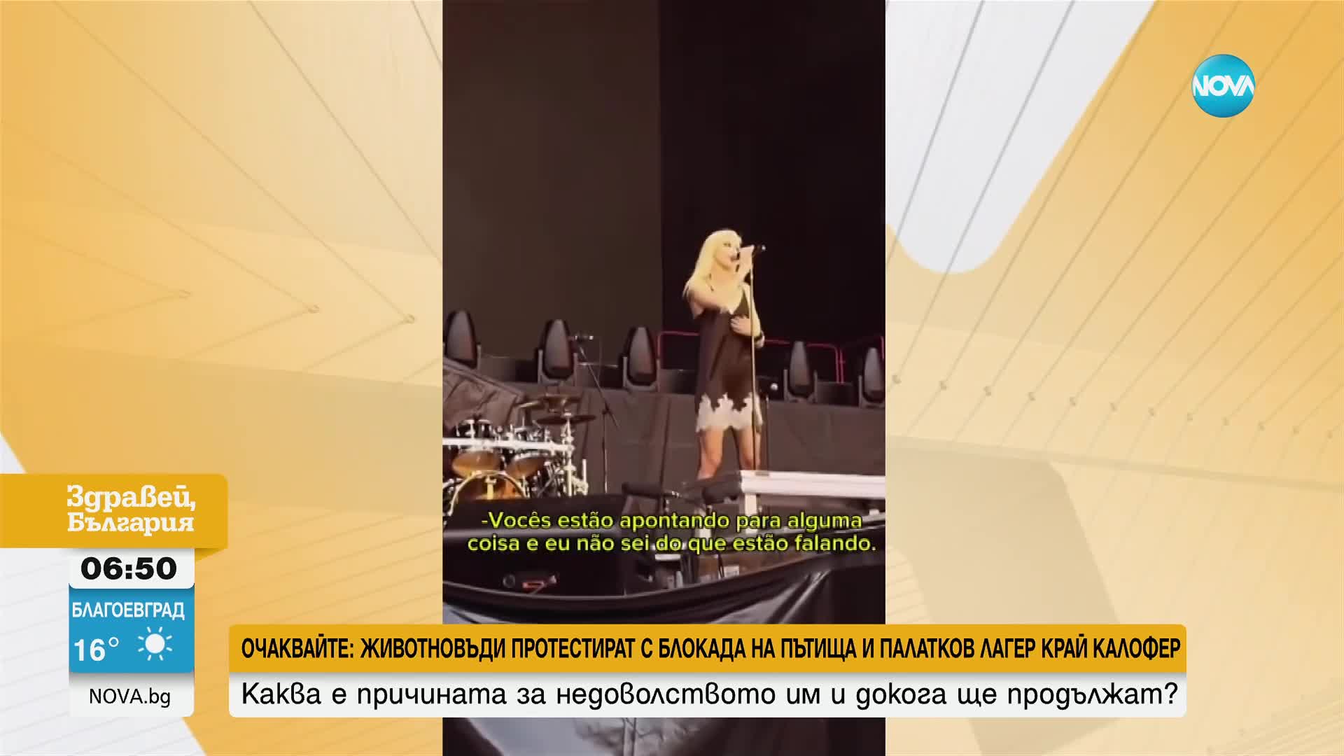 Прилеп ухапа певица, докато подгрява концерт на AC/DC