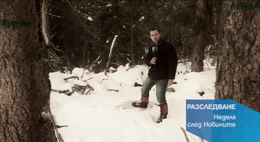 В „Разследване” на 13 декемри очаквайте: Прикриват ли горските стопанства незаконна сеч?