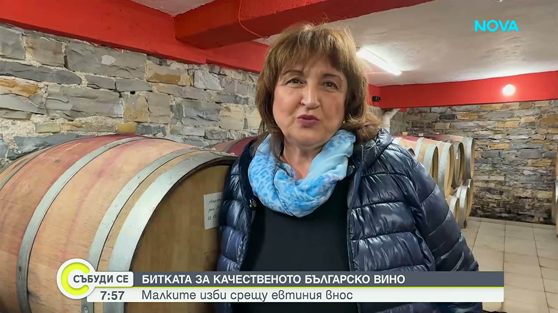 Битката за качественото българско вино: Малките изби срещу евтиния внос
