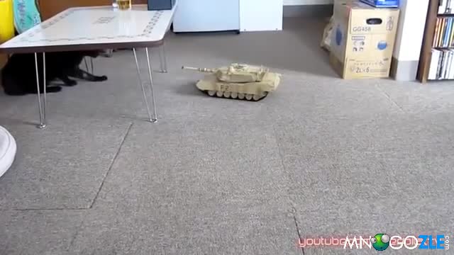 Танк срещу котки