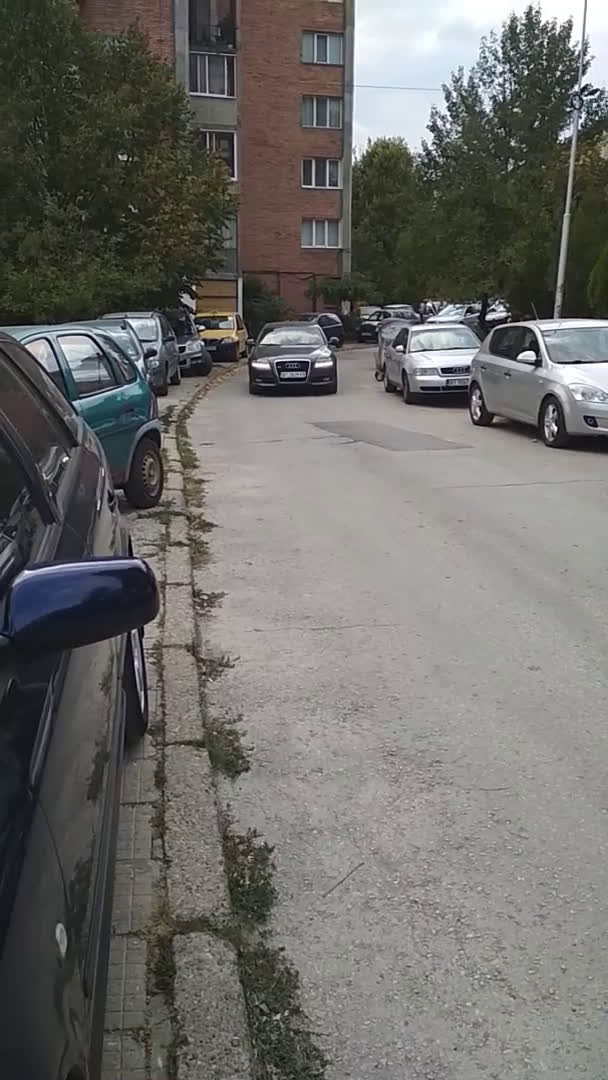 Колите или хората?