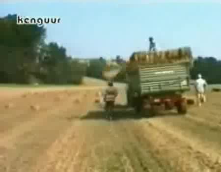 Куриози, Спъвания, Срутвания, Тухли, Падания