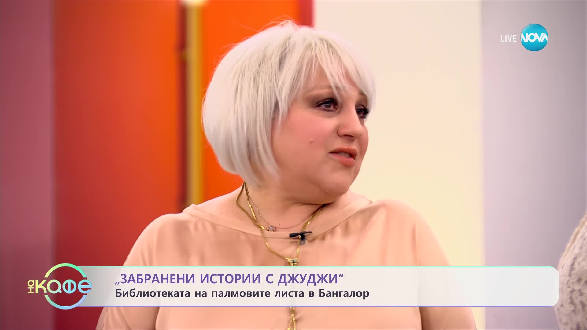 Забранени истории с Джуджи: Библиотеката на палмовите листа в Бангалор