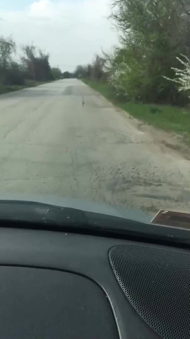 Винетка срещу дупки