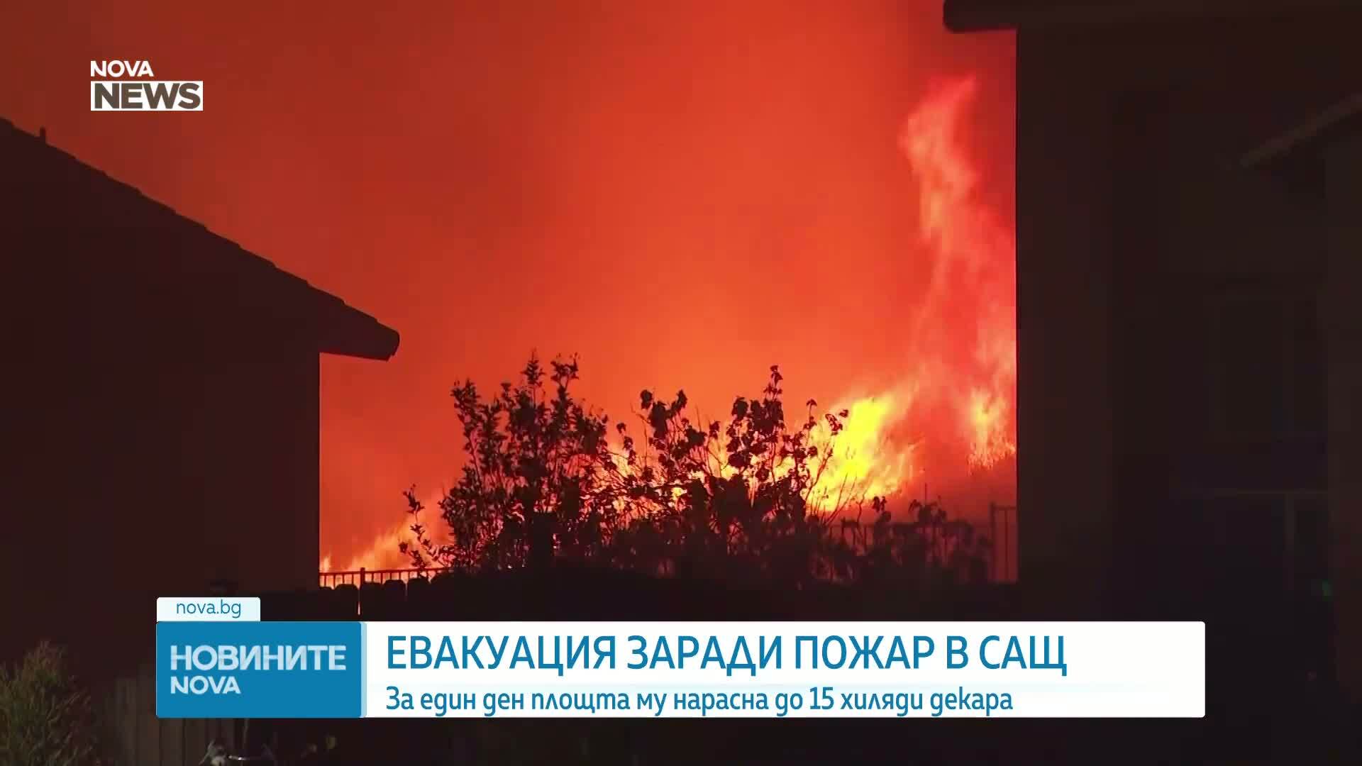Евакуация в Калифорния заради голям пожар