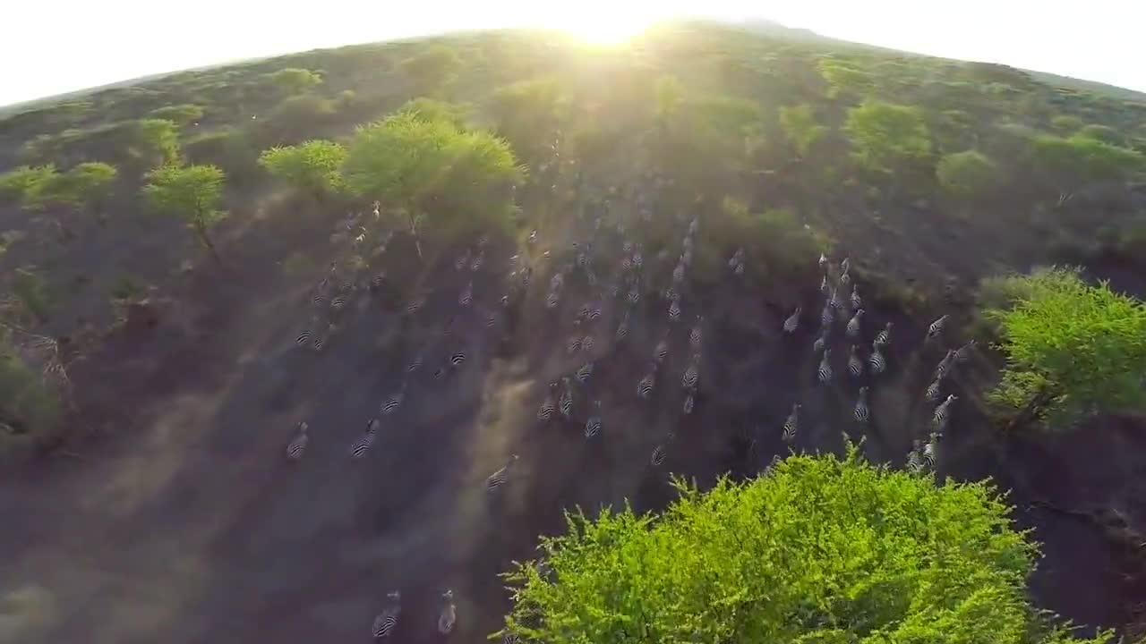 Паркът Серенгети от въздуха