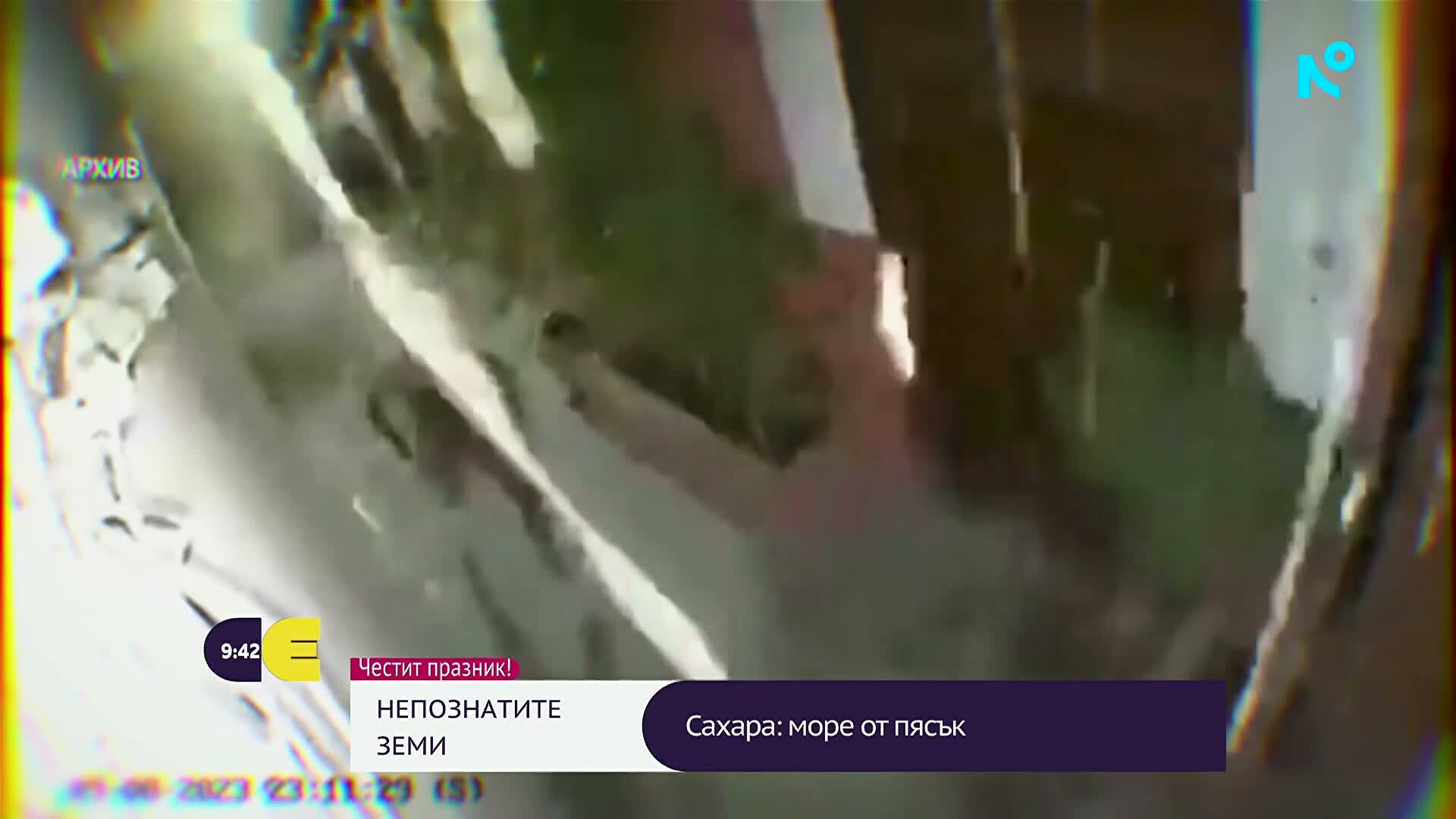 Непознатите земи: Сахара, камилски керван и дом върху скали