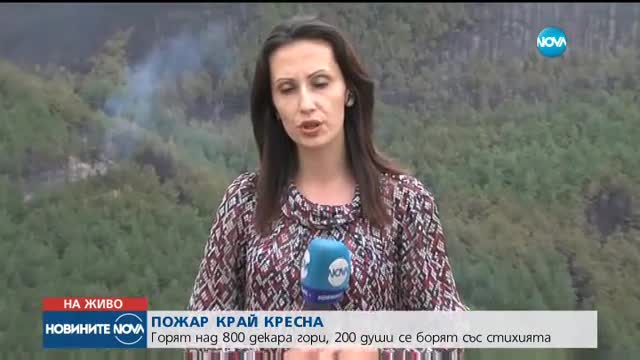 Новините на NOVA (14.07.2017 - обедна емисия)