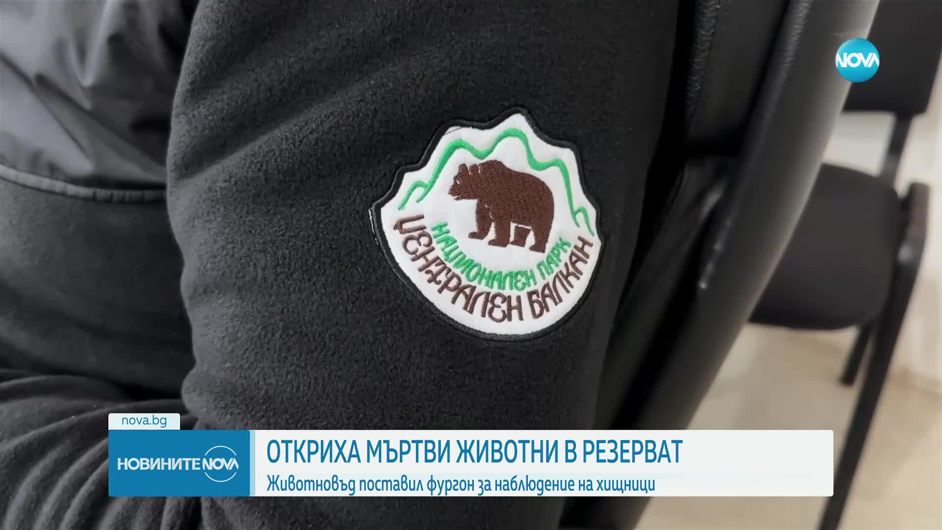 След откритите трупове на животни: Резерват „Джендема” е изправен пред екологична криза
