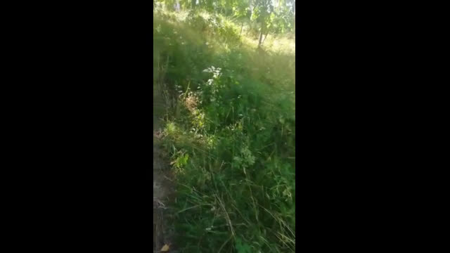 Занемарен училищен двор