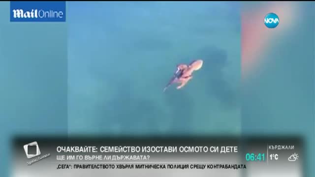 Как октопод ловува