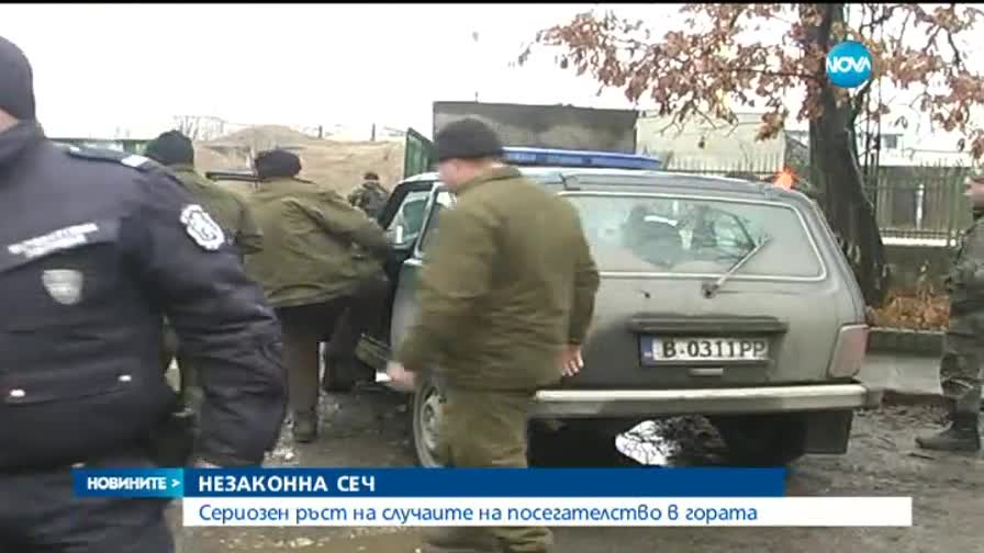 Сериозен ръст на незаконната сеч у нас