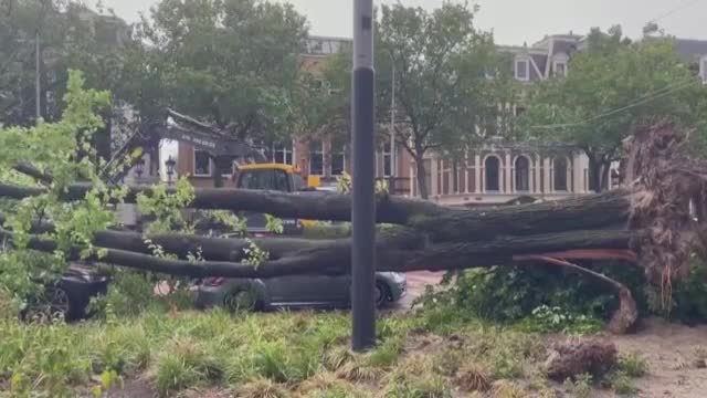 Буря блокира въздушния и жп транспорт в Нидерландия