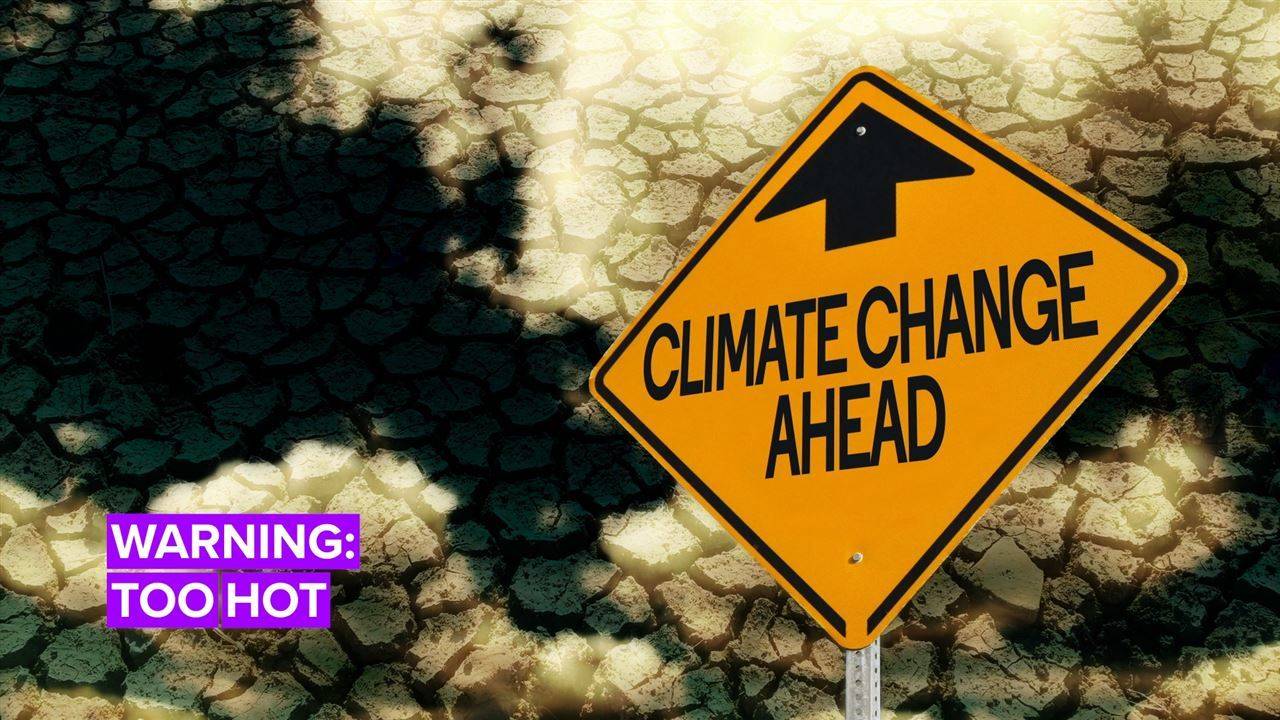 Global Warming 2050: It's Getting Hot in Here