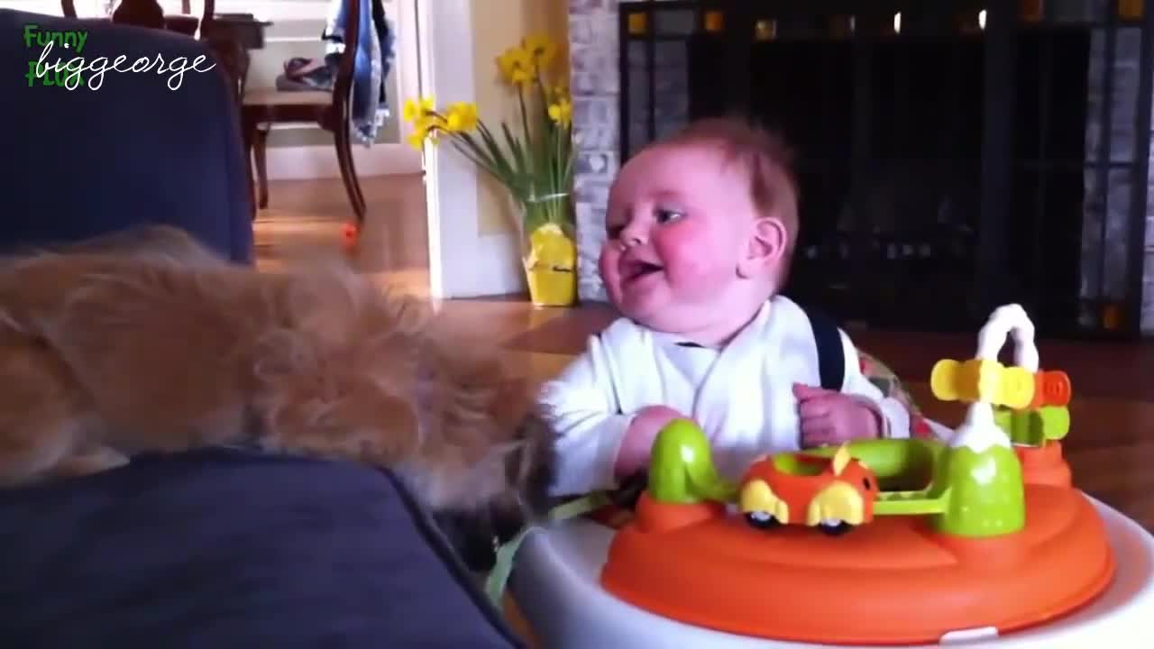 Компилация от кученца и бебета, които си играят заедно : D