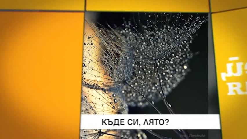 В "Здравей, България " на 19 юни очаквайте