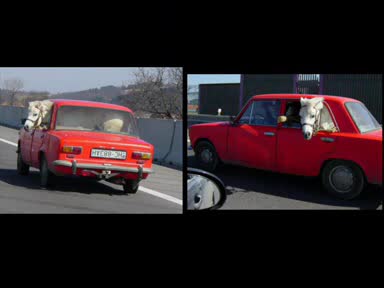 MitKo Shturiq s Nova pesen  !!!