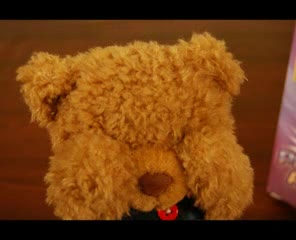 Patty The Bear Seduction Animated Video Clip