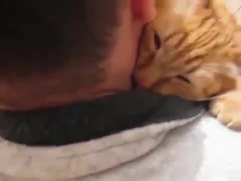 Котка прегръща силно своя стопанин