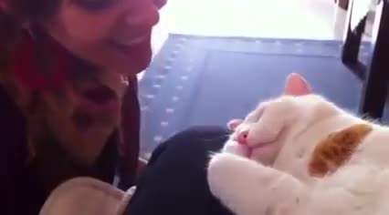 Момиче целува коте ! Вижте реакцията му
