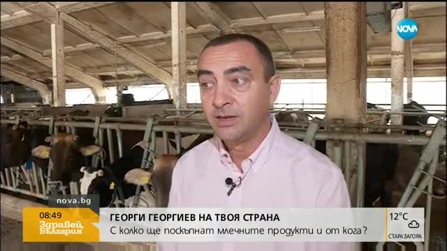 Недостиг на мляко в ЕС – ще поскъпнат ли сиренето и кашкавалът?
