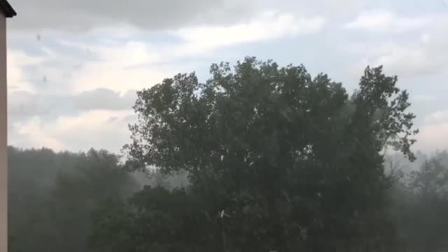 "Моята новина": Буря над Банкя