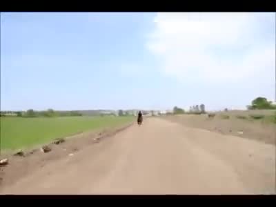 Кон бяга силен тръс