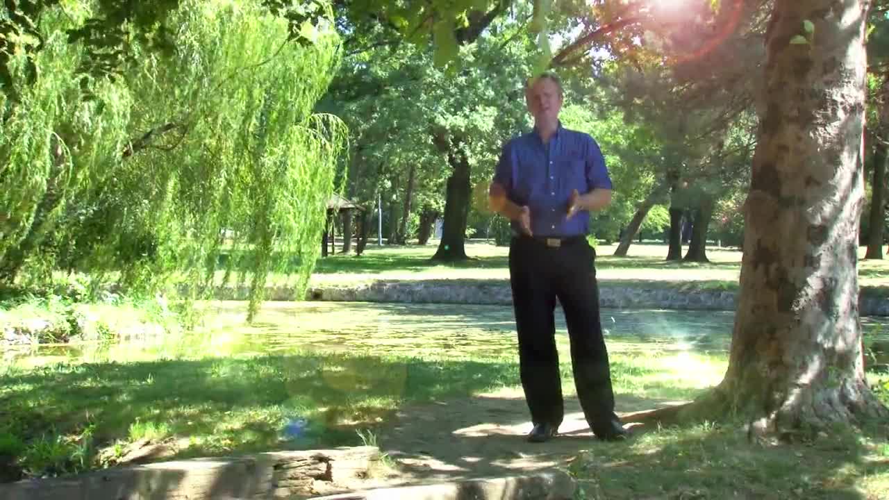 Osman Zulji i Juzni Vetar - Jedna rana u grudima (hq) (bg sub)