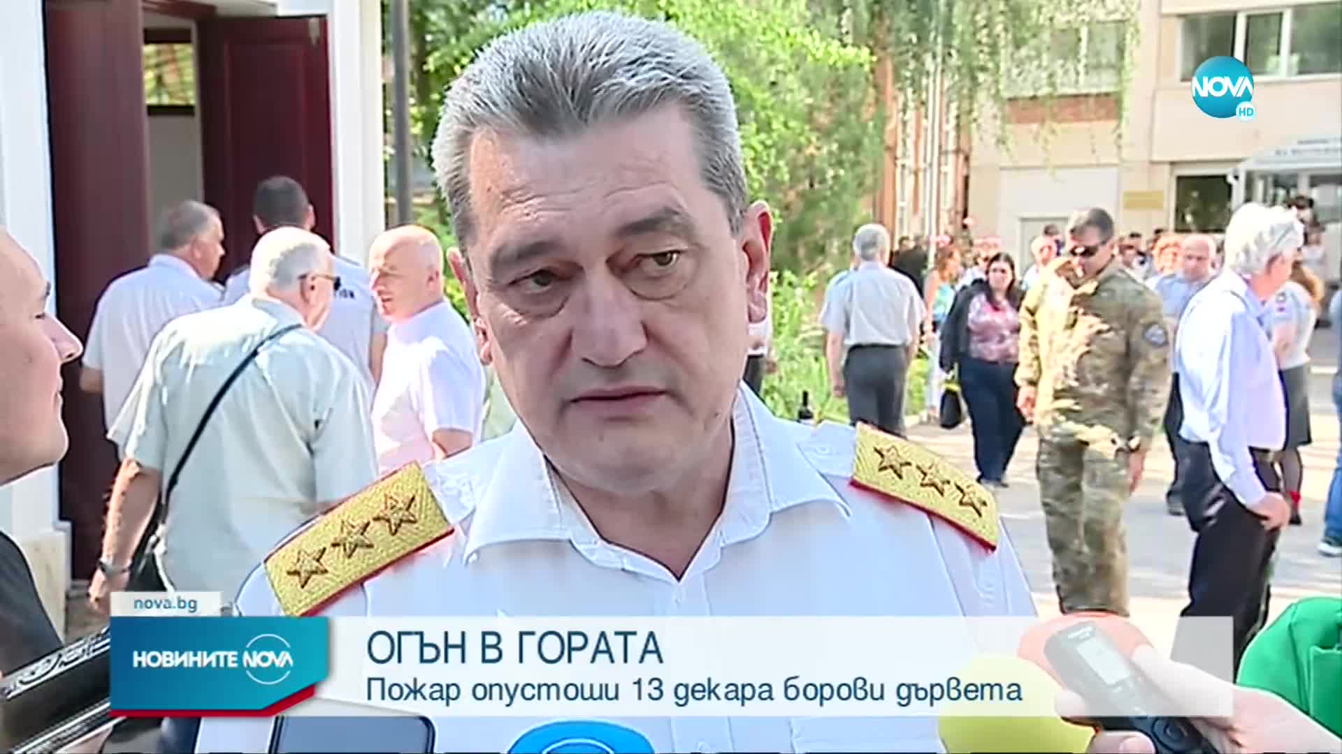 Пожар унищожи 13 декара борова гора в Кюстендилско
