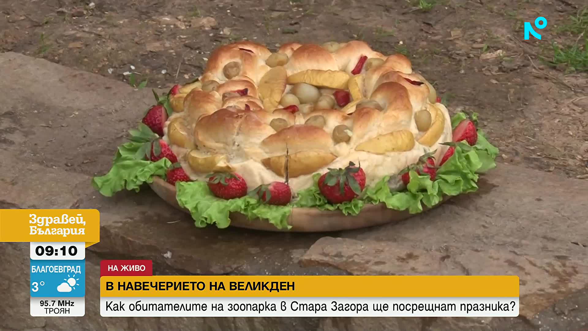 Обитателите на зоопарка в Стара Загора получиха лакомства за Великден