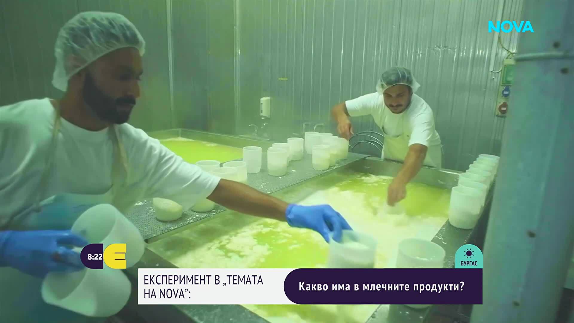 "Темата на NOVA" в аванс: Какво има в млечните продукти