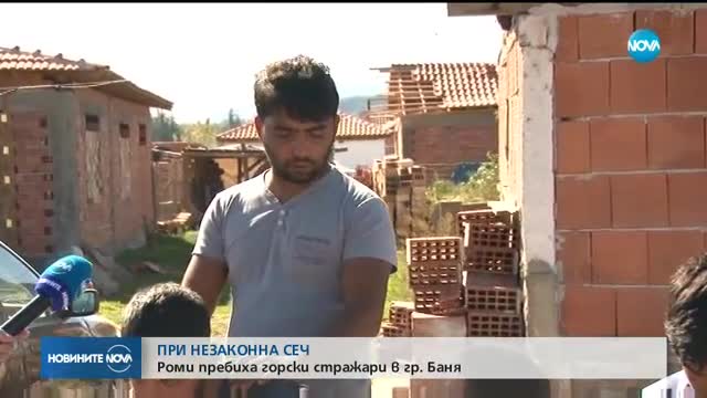 ПРИ НЕЗАКОННА СЕЧ: Роми пребиха горски служители