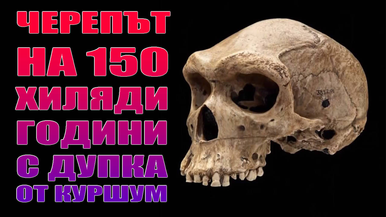 Черепът на 150 хиляди години с дупка от куршум !
