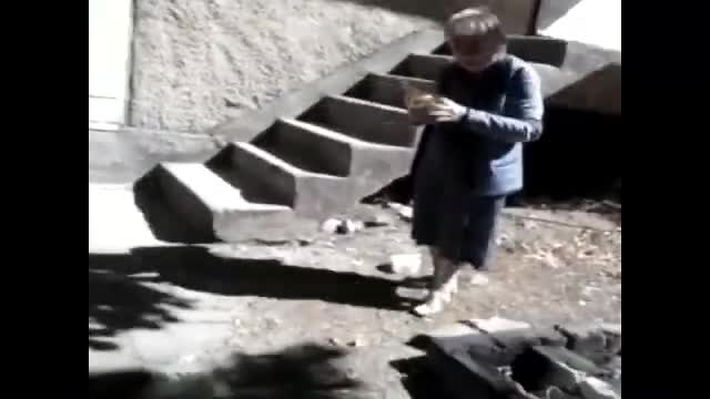 Лудата бабка