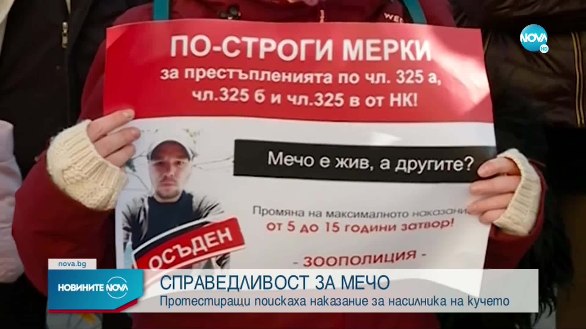 Протест пред Събедната палата заради насилника на кучето Мечо